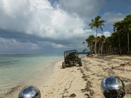 Roatan Dune Buggys