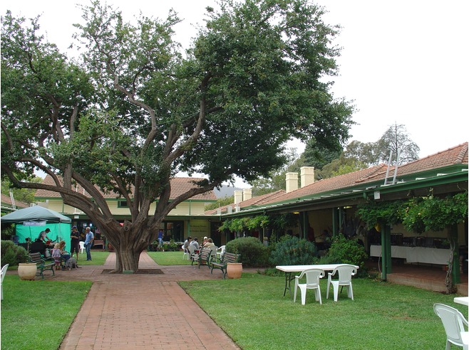 Gorman House Arts Centre