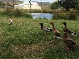 Tasmania Australia Tour