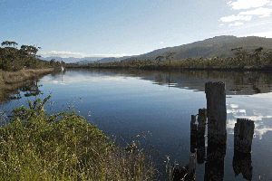 Bruny 4x4 Forest to Coast Adventures