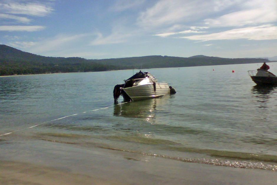Wooden Boat Centre