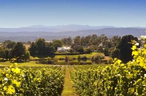 Perfect Day Tours