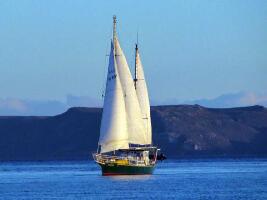 West Coast Yacht Charters - Day Tour