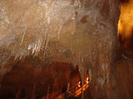 Mole Creek Australia Cave