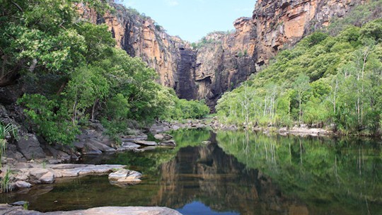 Top End Explorer Tours