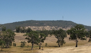 Mt. Alexander