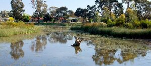 Victoria Australia Lake