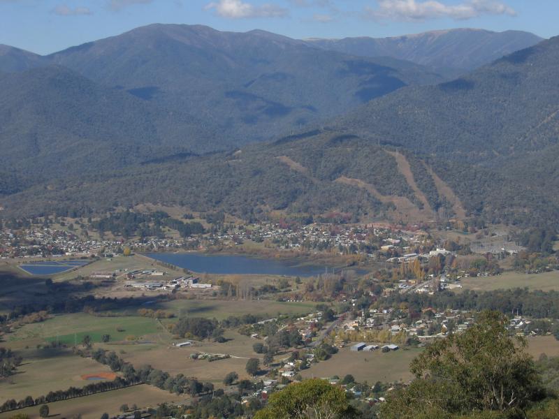 Valley Nut Groves