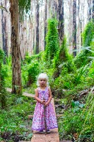 Paperbark Forest Walk
