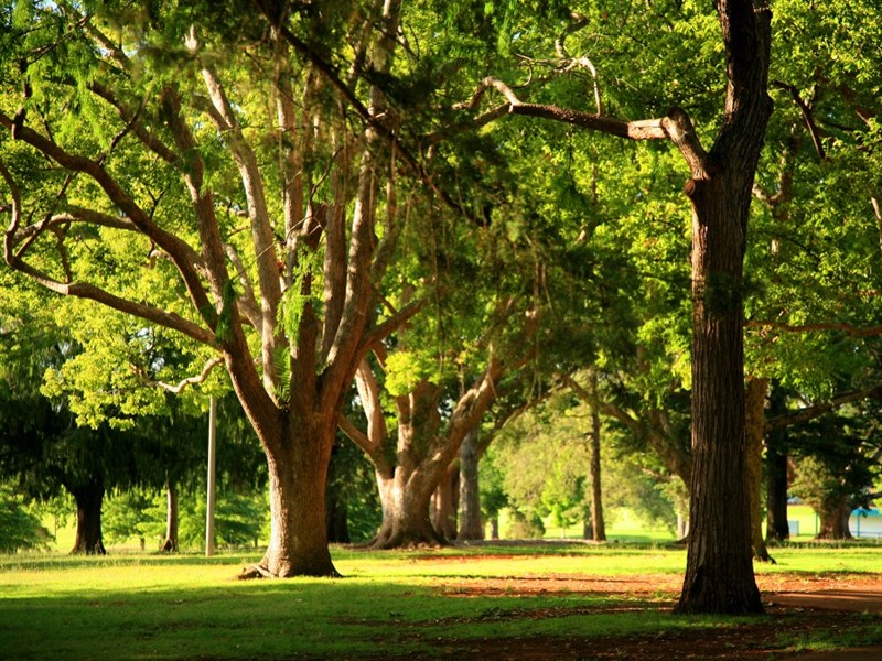 Queen?s Park