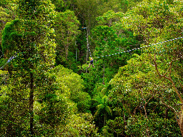 Gold Coast Australia Canyon
