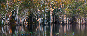 Sunshine Coast Australia Dam