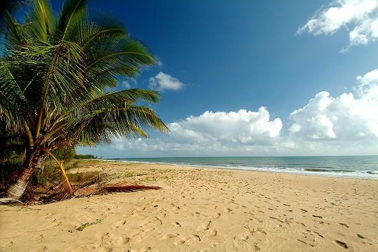 Yorkeys Knob Beach