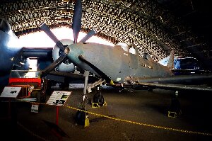 Queensland Australia Museum