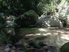 Daintree Region Australia Gorge