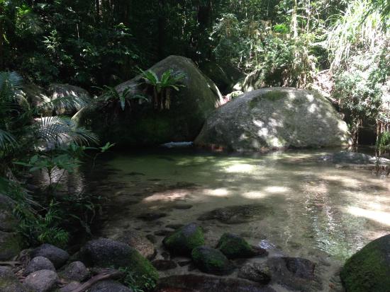 Mossman Gorge