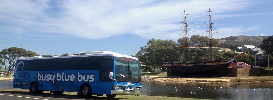Busy Blue Bus - Day Tours