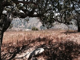 Chino Hills United States Canyon