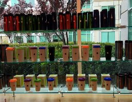 The Apple Company Store