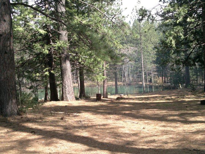 Ponderosa RV Resort