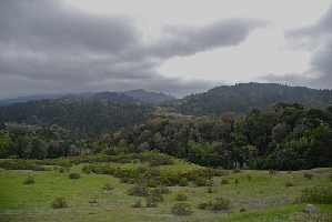 Los Gatos United States Spa