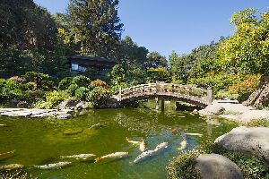 United States Japanese Garden