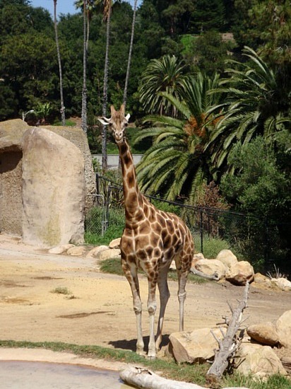 Santa Barbara Zoo