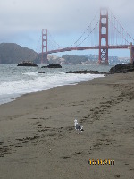 Baker Beach