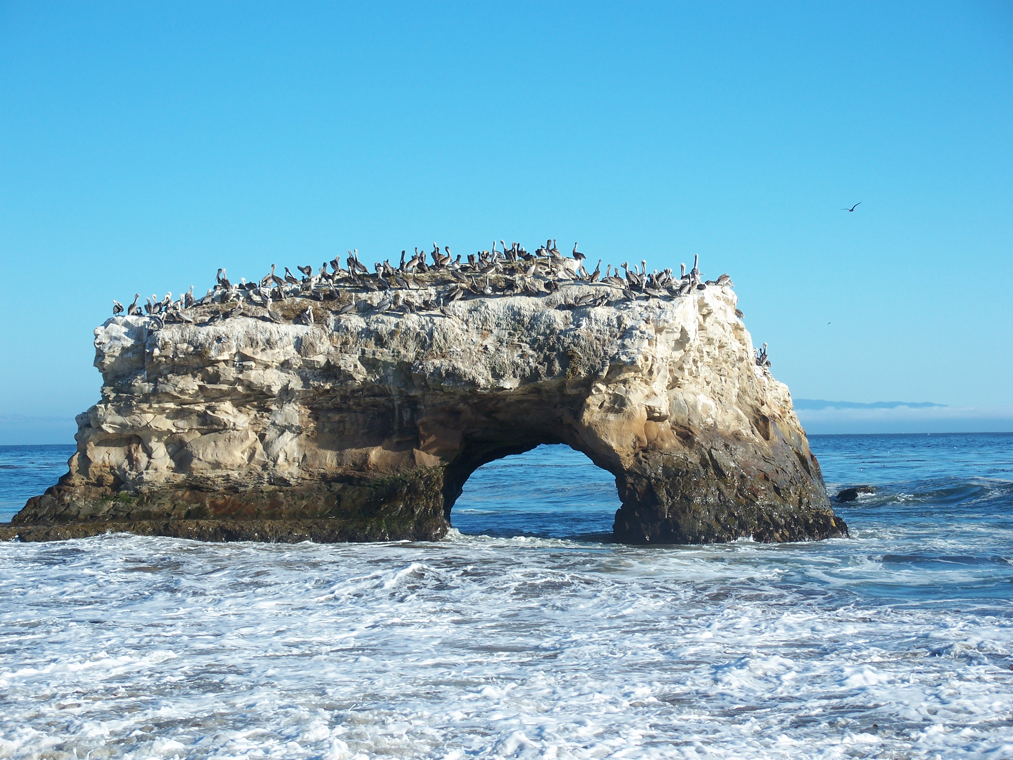 Santa Cruz Beach and Boardwalk