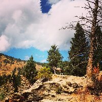 Elk Meadow Park