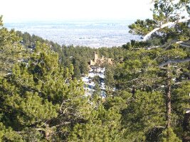 Mount Falcon Park