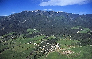 Rye
