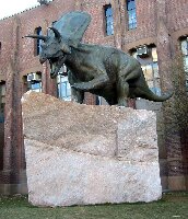 yale peabody museum