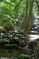 Wadsworth State Park