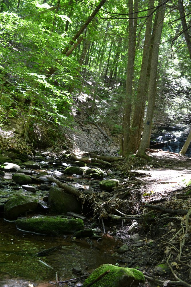 Wadsworth State Park