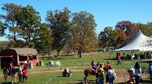 Lyman Orchards