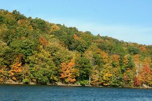 Hubbard Park