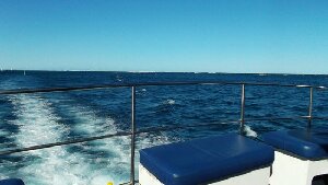 Coral Bay Ecotours