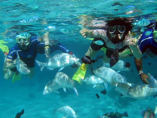 Coral Bay Snorkel Tours - Glass Bottom Boat