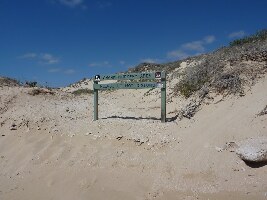The Coral Bay Shark Nursery