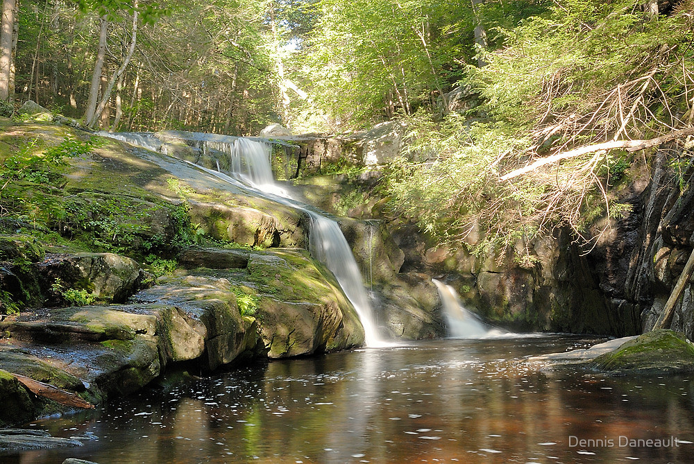 Enders State Forest