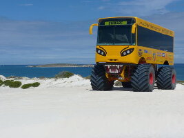 Lancelin Australia Desert
