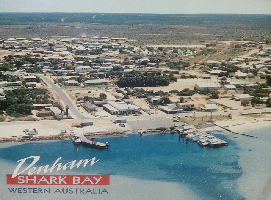 Shark Bay