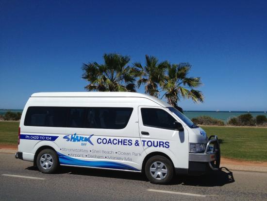 Shark Bay Coaches and Tours