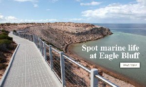Shark Bay Coastal Tours