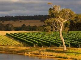 Harvest Tours