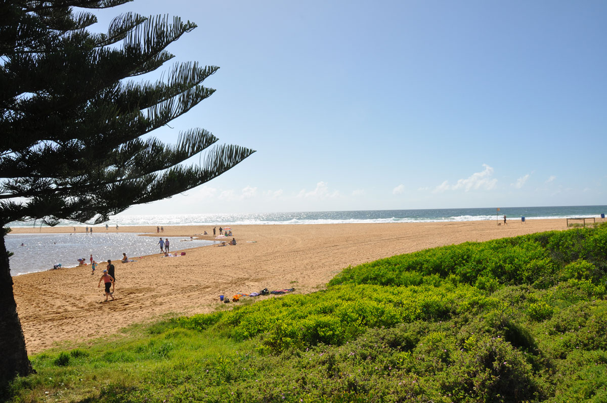 Central Coast Surf School