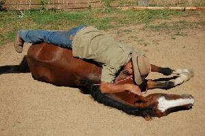 Bathurst Australia Ranch