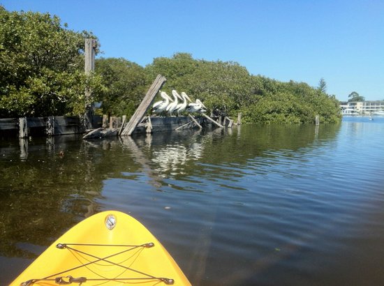 Ezy Kayaks Hawks Nest
