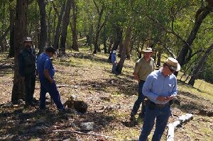 Walcha Australia Walk